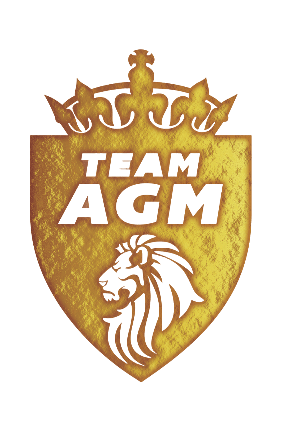 EvolutionAGM